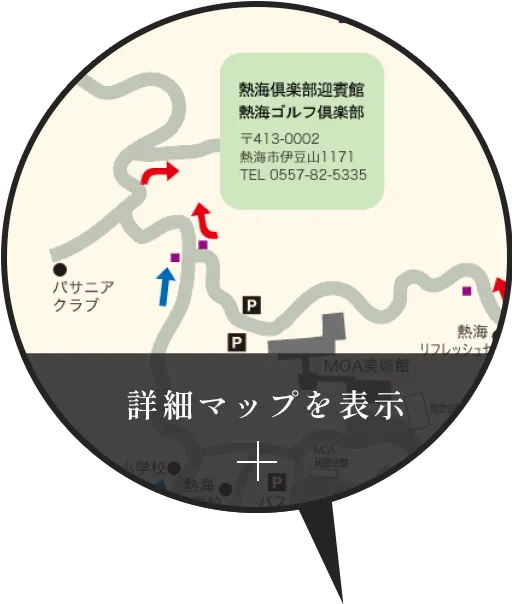 詳細マップを表示